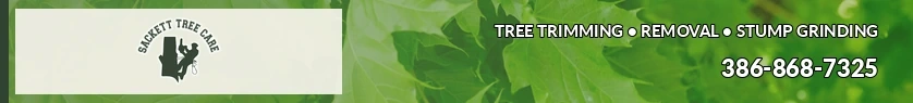 Sackett Tree Care