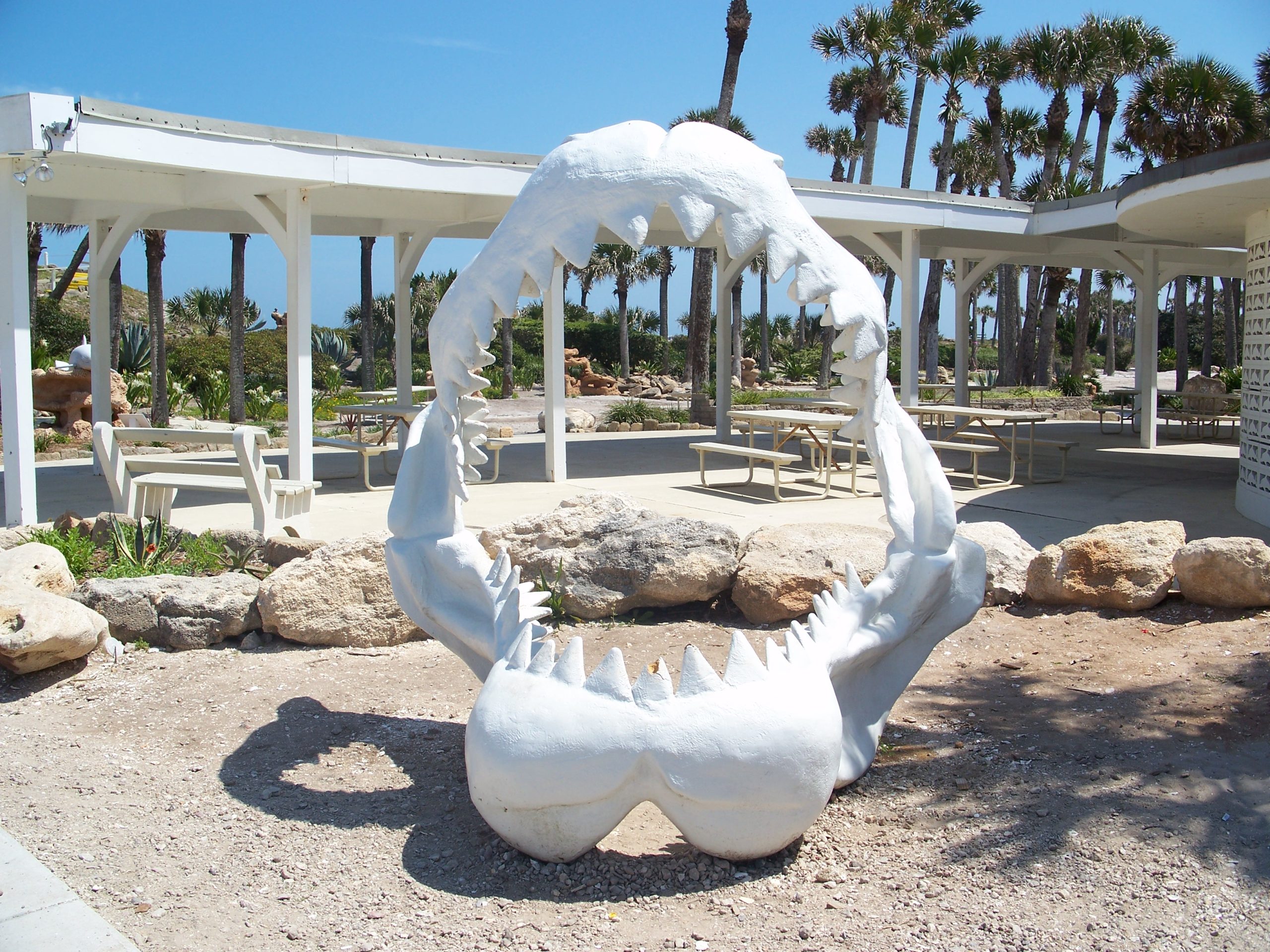 Big jaw in Marineland, in Marineland, Florida