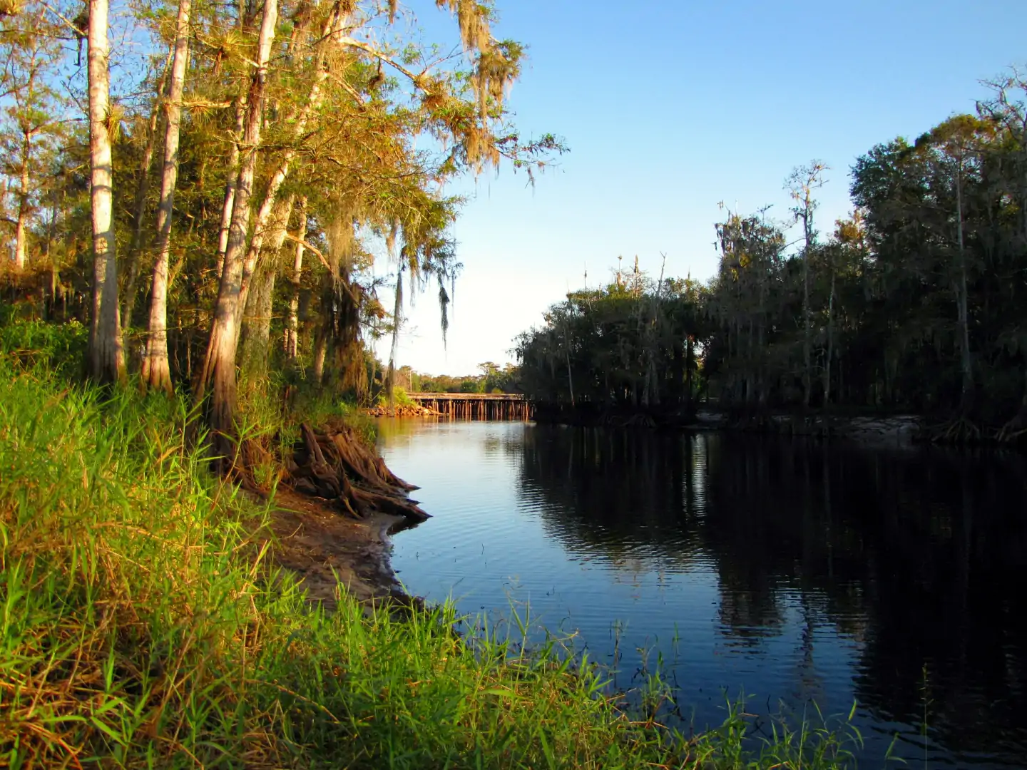 Fisheating Creek near a railroad bridge.