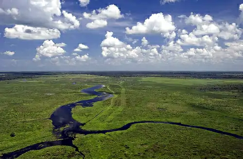 Fisheating Creek.