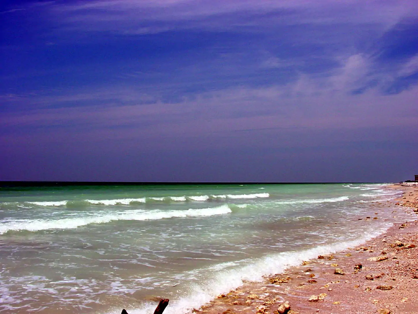 This photograph was taken at Honeymoon Island State Park, which is located in northwestern Pinellas County near Clearwater, FL.