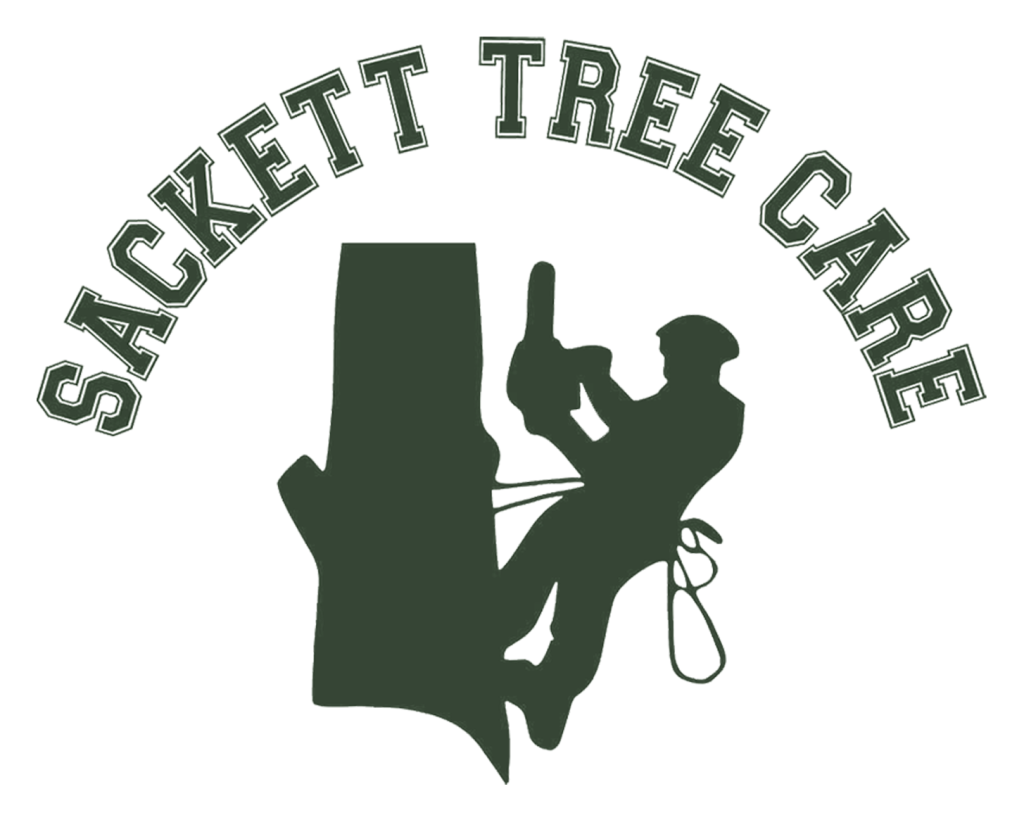 Sackett Tree Care — 3 Logo Sackett Tree Care.webp