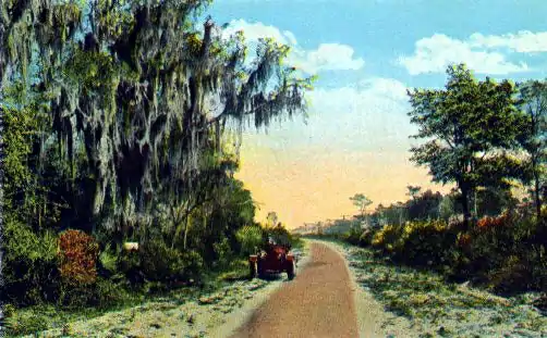 St. Johns County