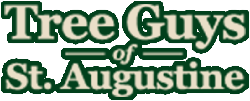 Tree Guys of St. Augustine — 3 Logo Tree Guys of St. Augustine.webp