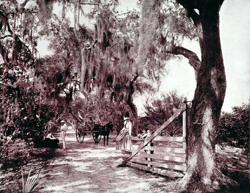 Avenue of Moss-Covered Oaks, Near Ormond, Florida, a duotone print from James W. Buel, America's Wonderlands, 1893; Historical Publishing Company, Philadelphia, PA.