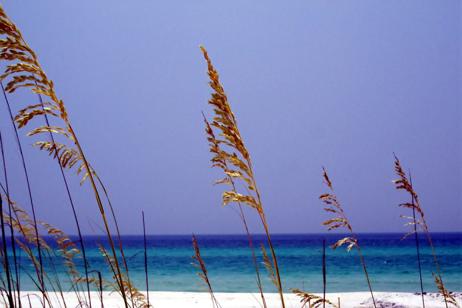 American landscape